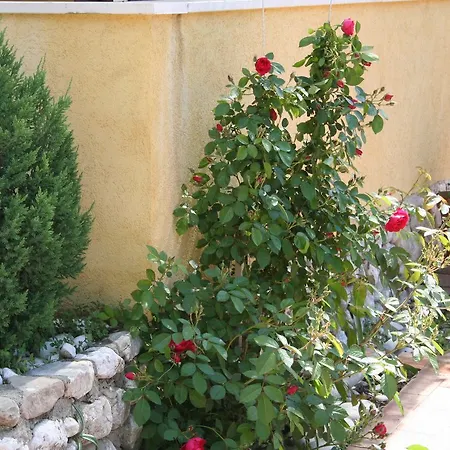 Lägenhet Studio Promajna 2674a Baška Voda